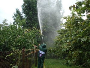 Reducing American White Butterfly Damage in Samegrelo and Abkhazia