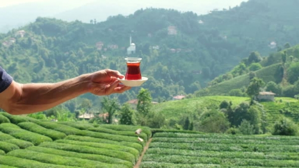 ამსკ-მ და პარტნიორმა ჩაის მწარმოებლებმა ქართული ჩაის ფესტივალ „ჩაის გზაში“ აქტიური მონაწილეობა მიიღეს